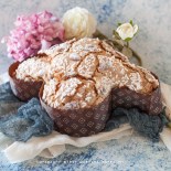 Colomba con licoli di Fabio Franco